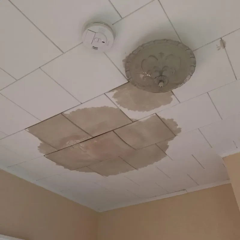 Ceiling Water Damage Repair in Overton, TX