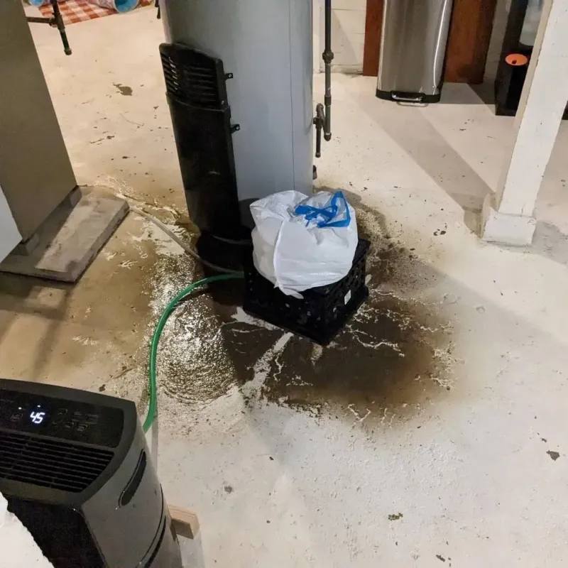 Sewage Backup Cleanup Service in Overton, TX